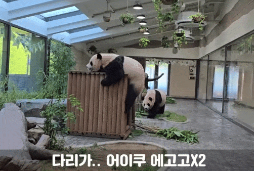 RVkHMf.gif