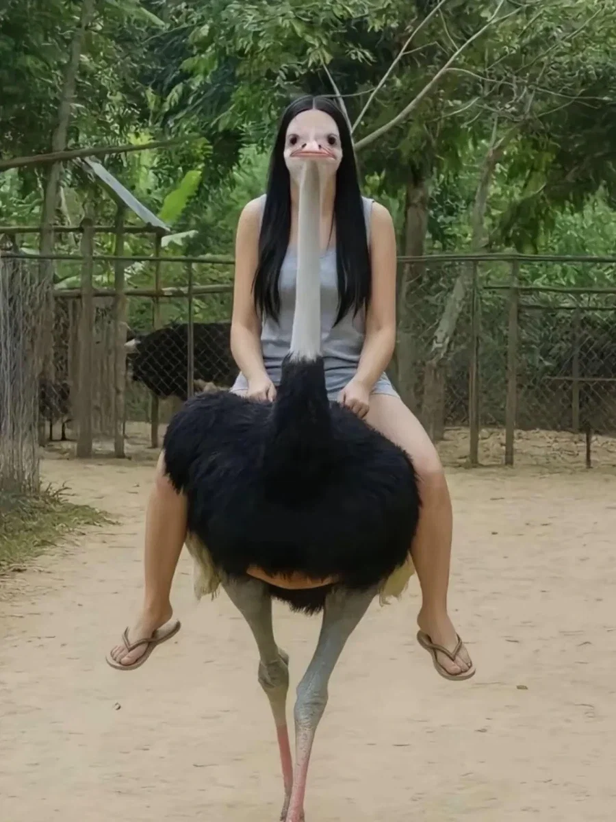 RYulQa