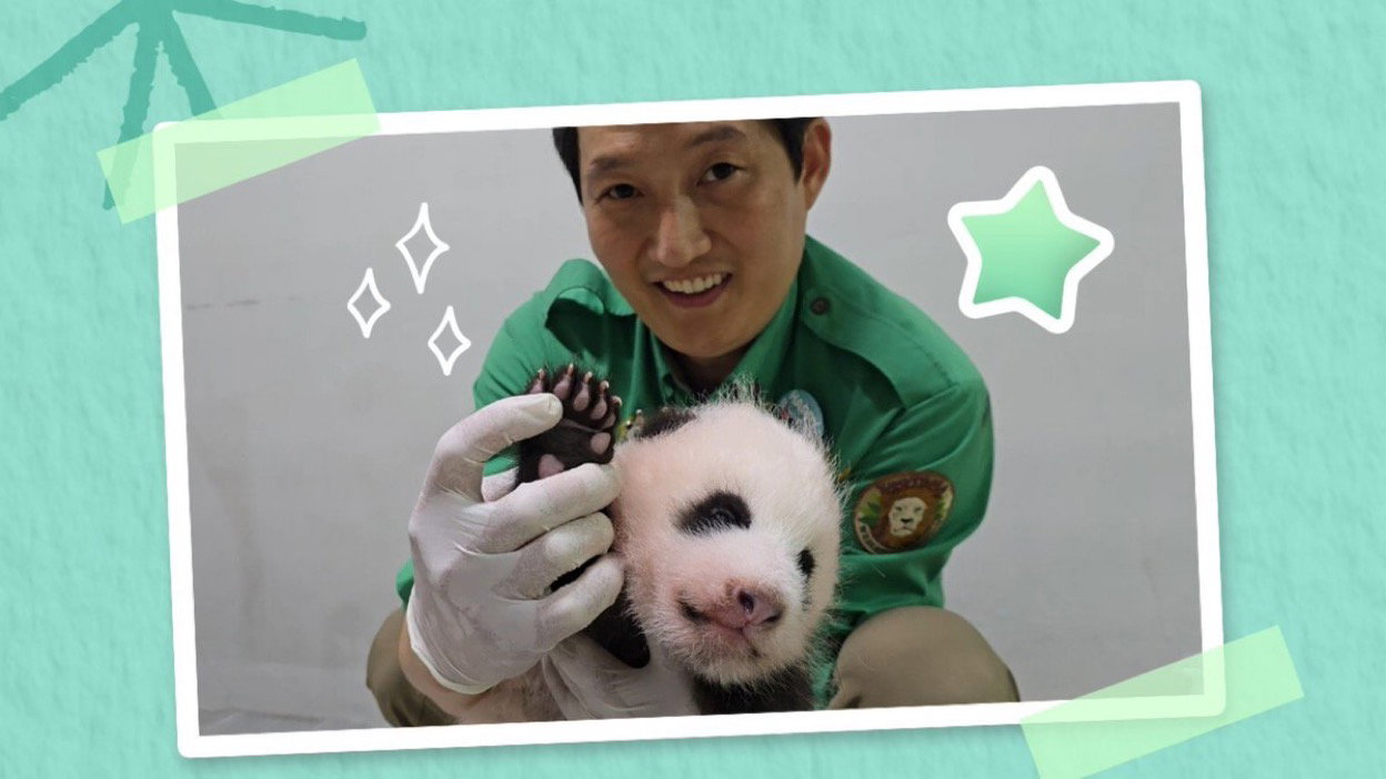 RZXpqS