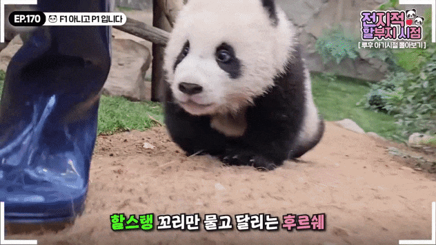 RaIetL.gif