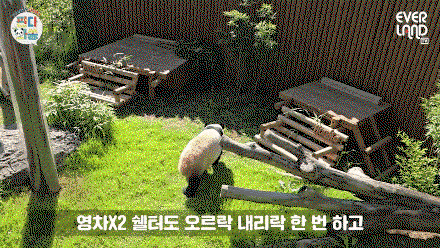 RaaaJY.gif
