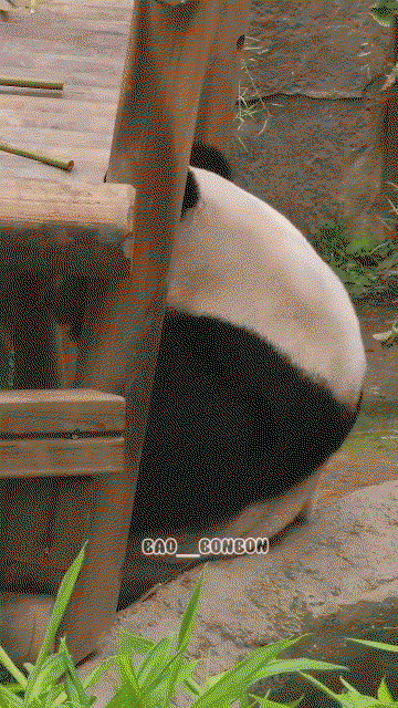 RbUZlM.gif