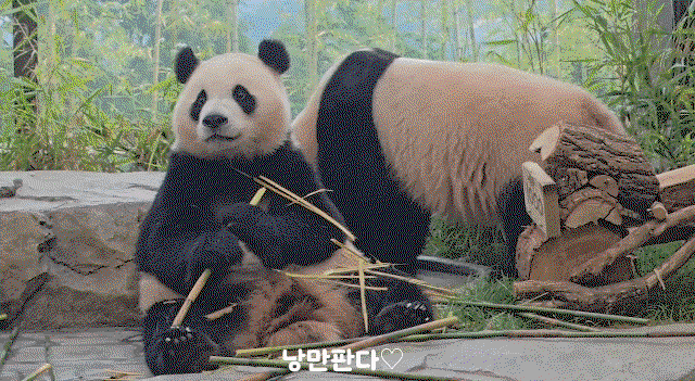 RcktYu.gif