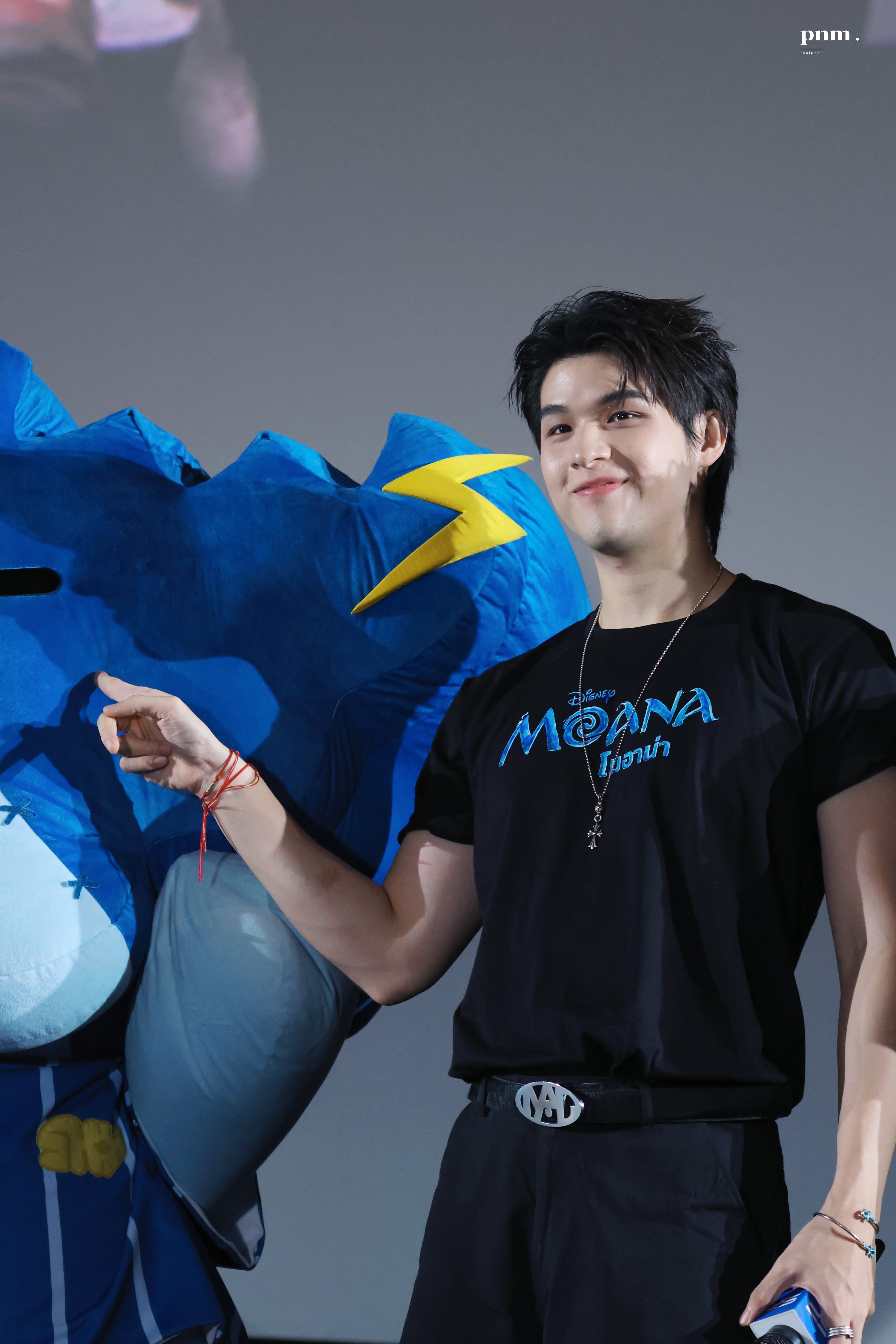 ReIplV