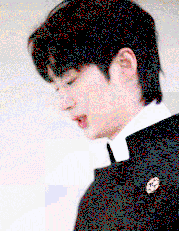 RiSeSE.gif