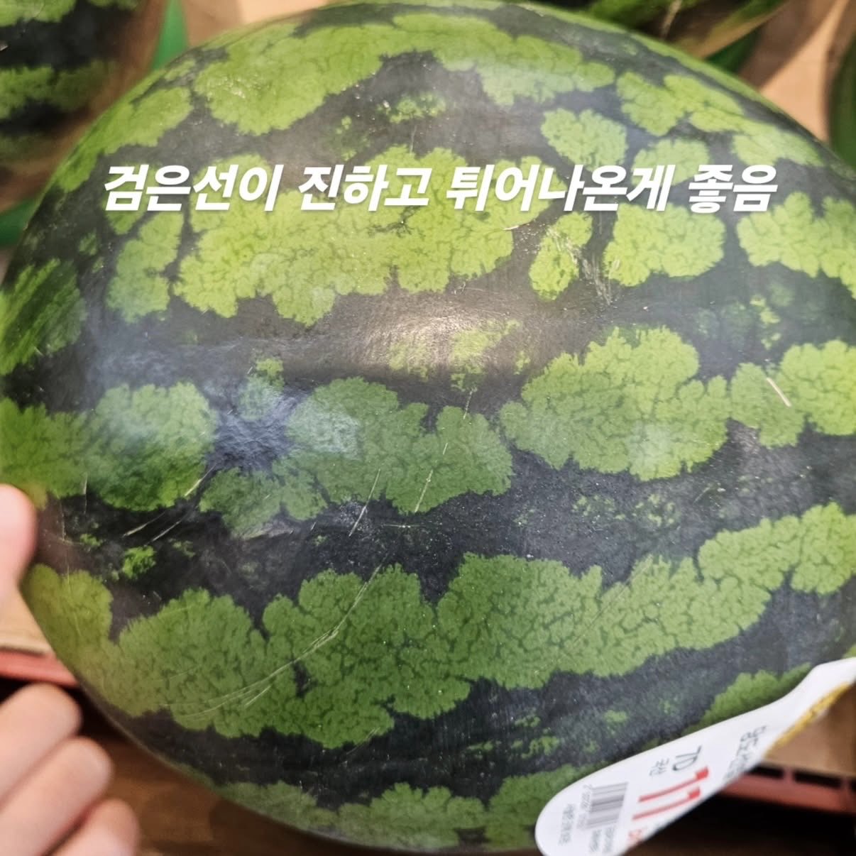 RjxClc