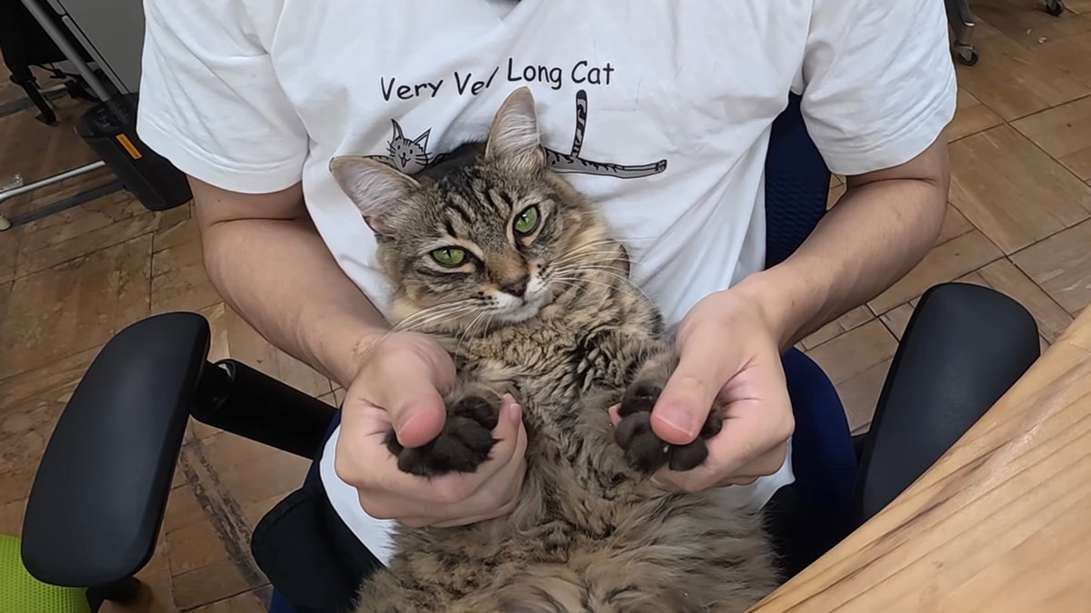 RlHFLD