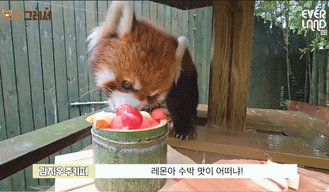 RmOzbf.gif