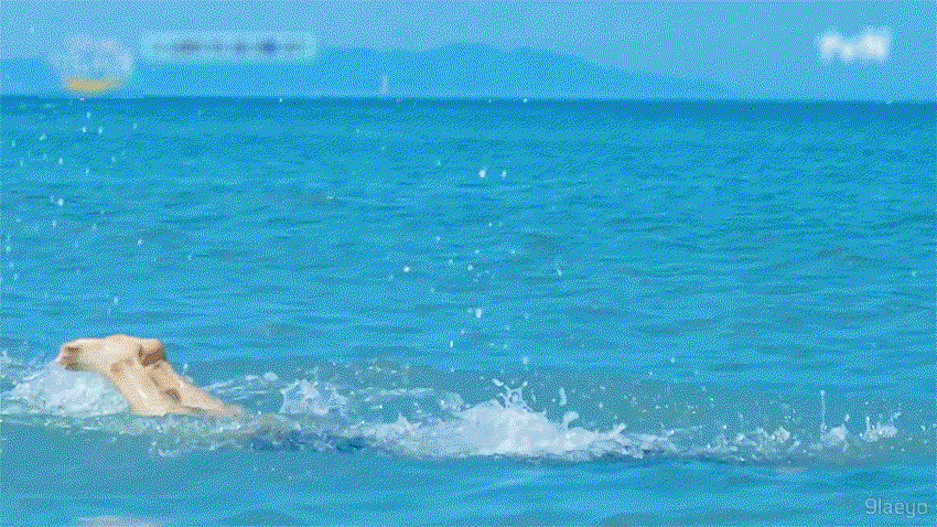 RmpzDr.gif