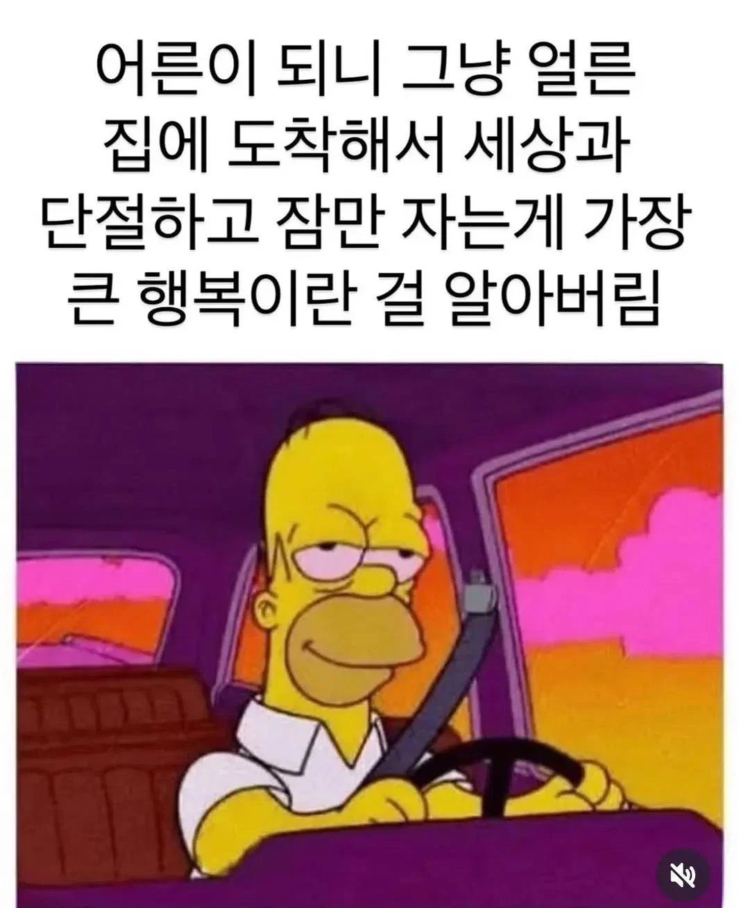 RmsiIq