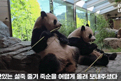 RoLqHI.gif