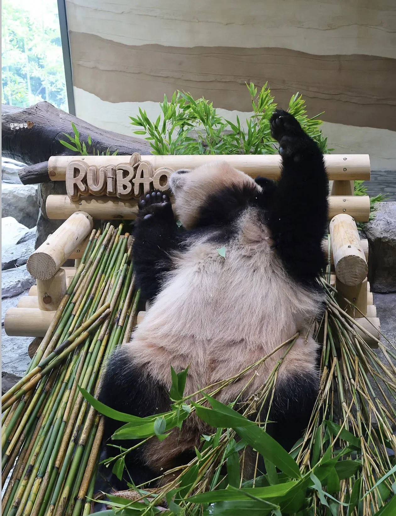 RsRsBi