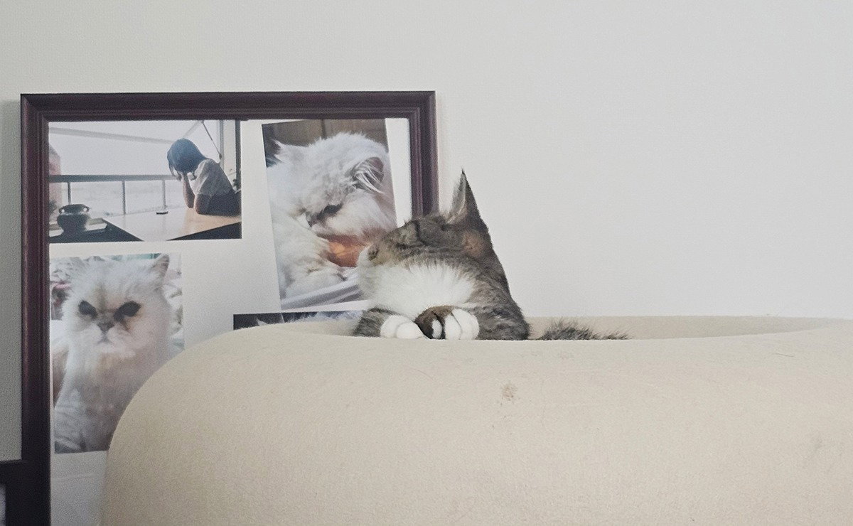 RstuRC