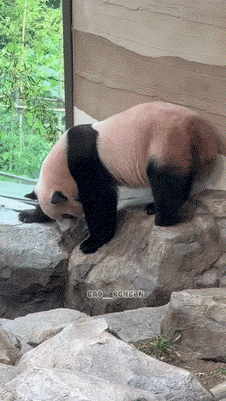 RtlOEC.gif