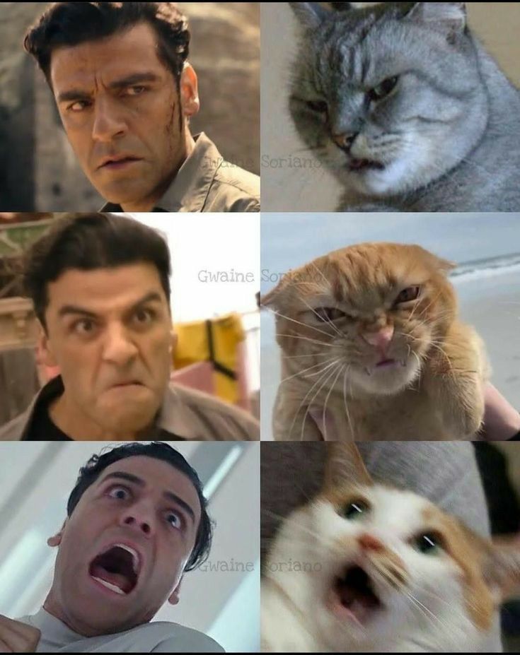 RuQmUh