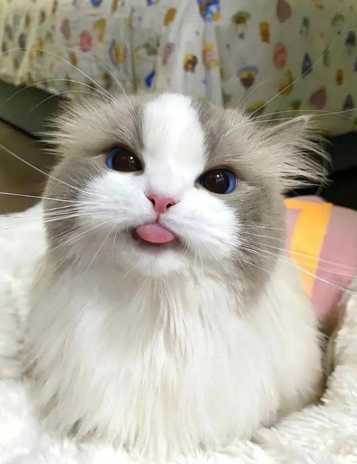 RwaWAT