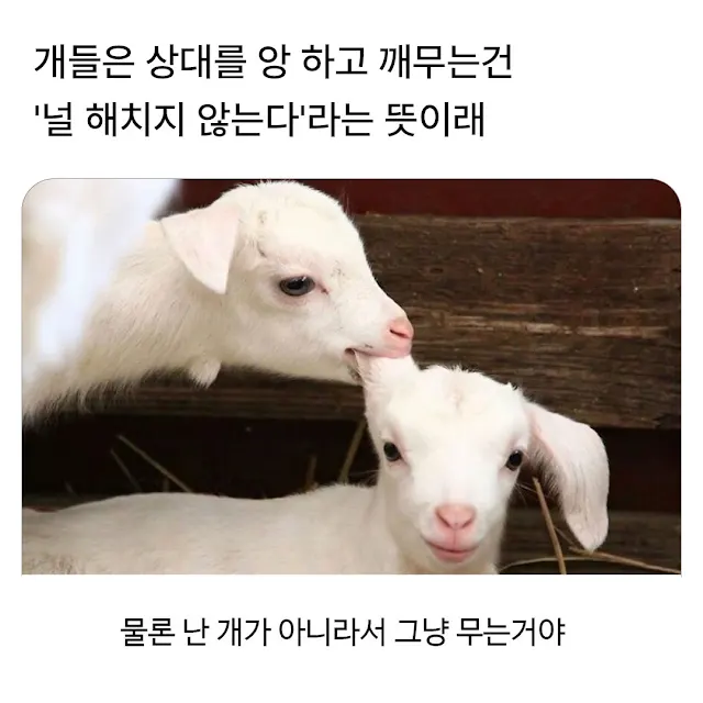 RyBdFJ