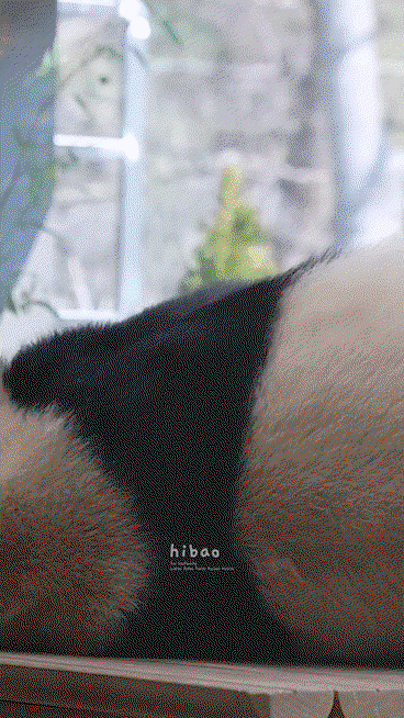 RzZCyt.gif
