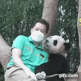 RzdQbq