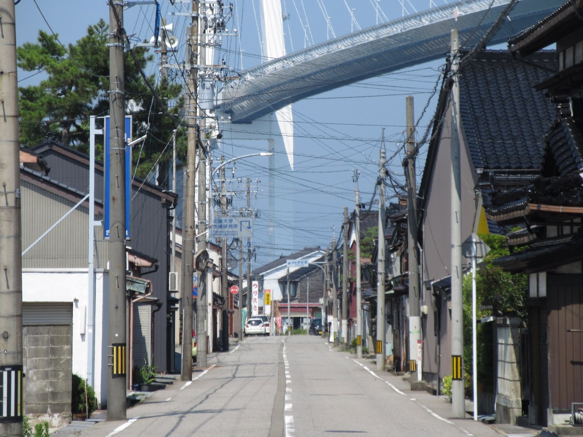 SAiGYS