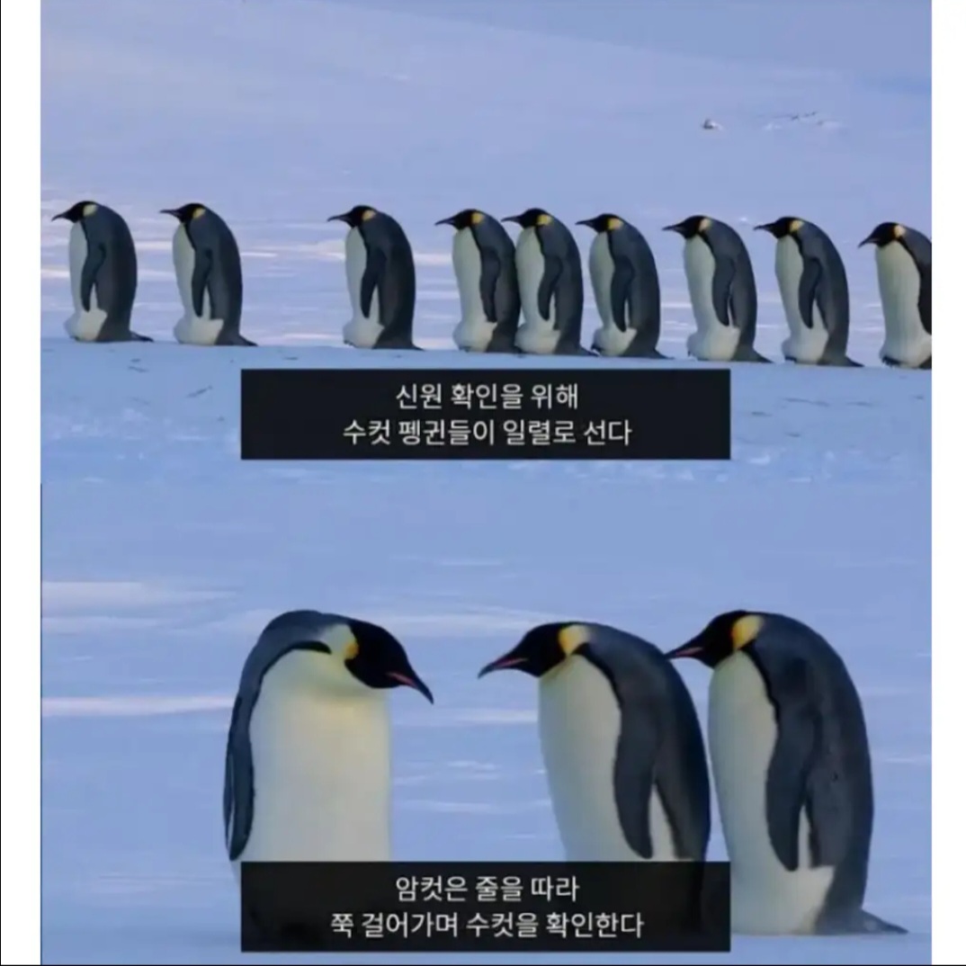 SBZqYu