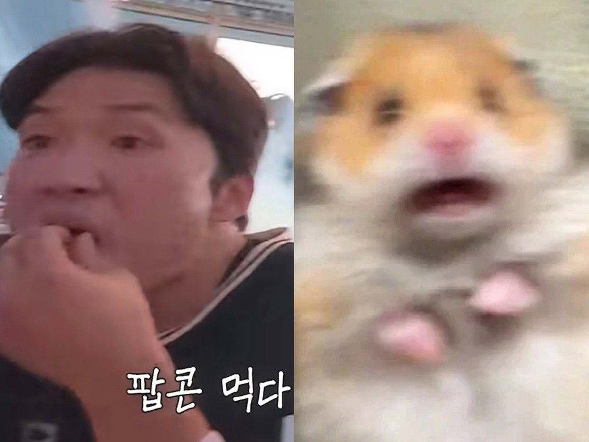 SCYieL