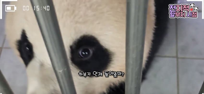 SDYrjo