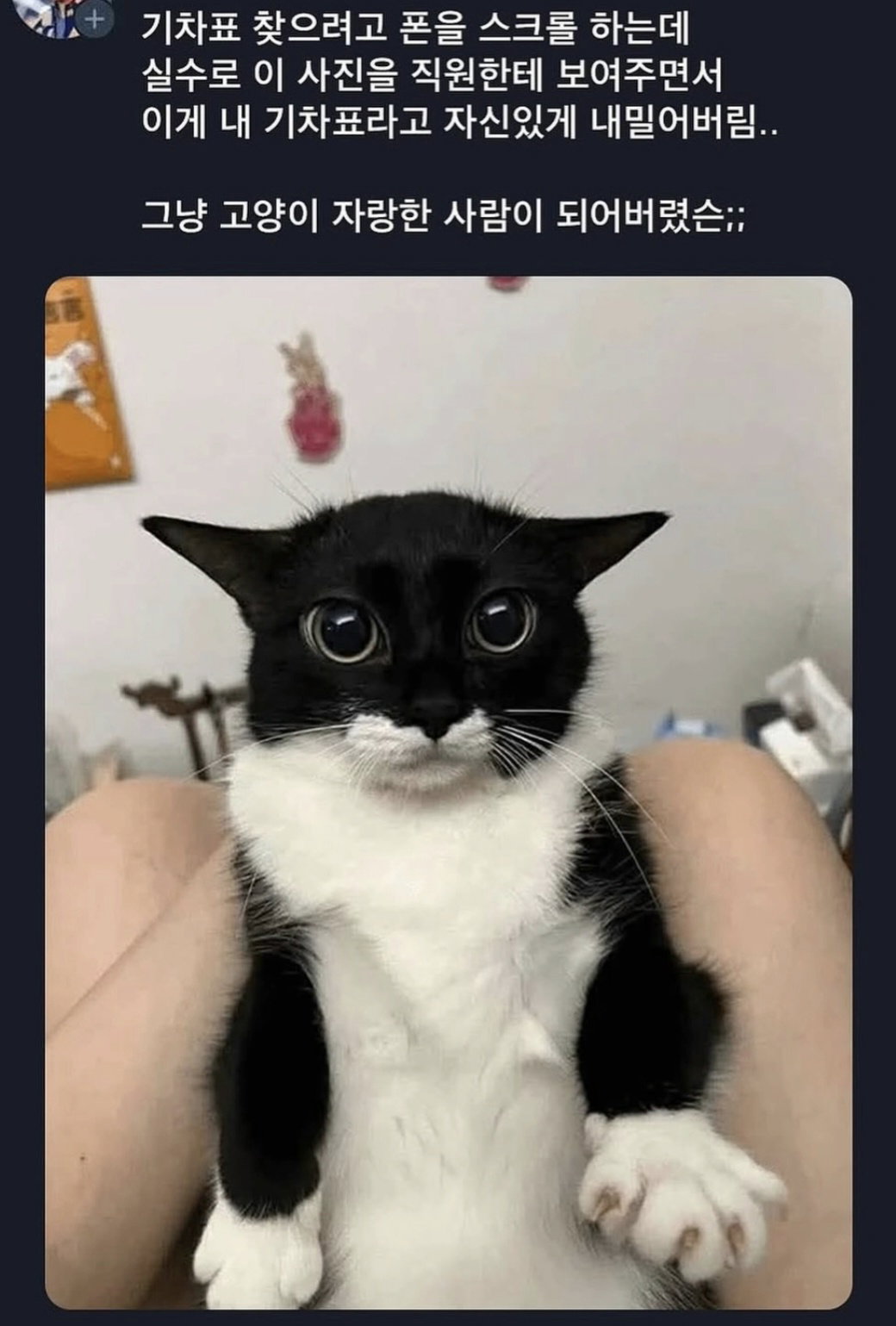 SDcEMj