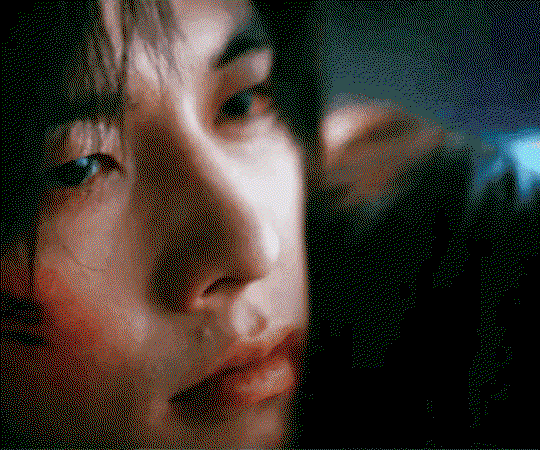 SEAHsk.gif