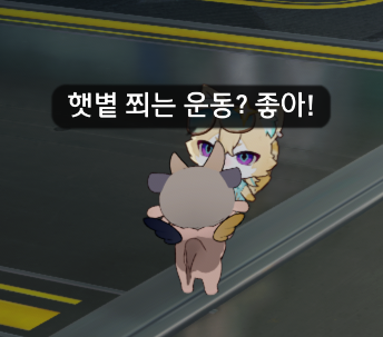 SEeIbi