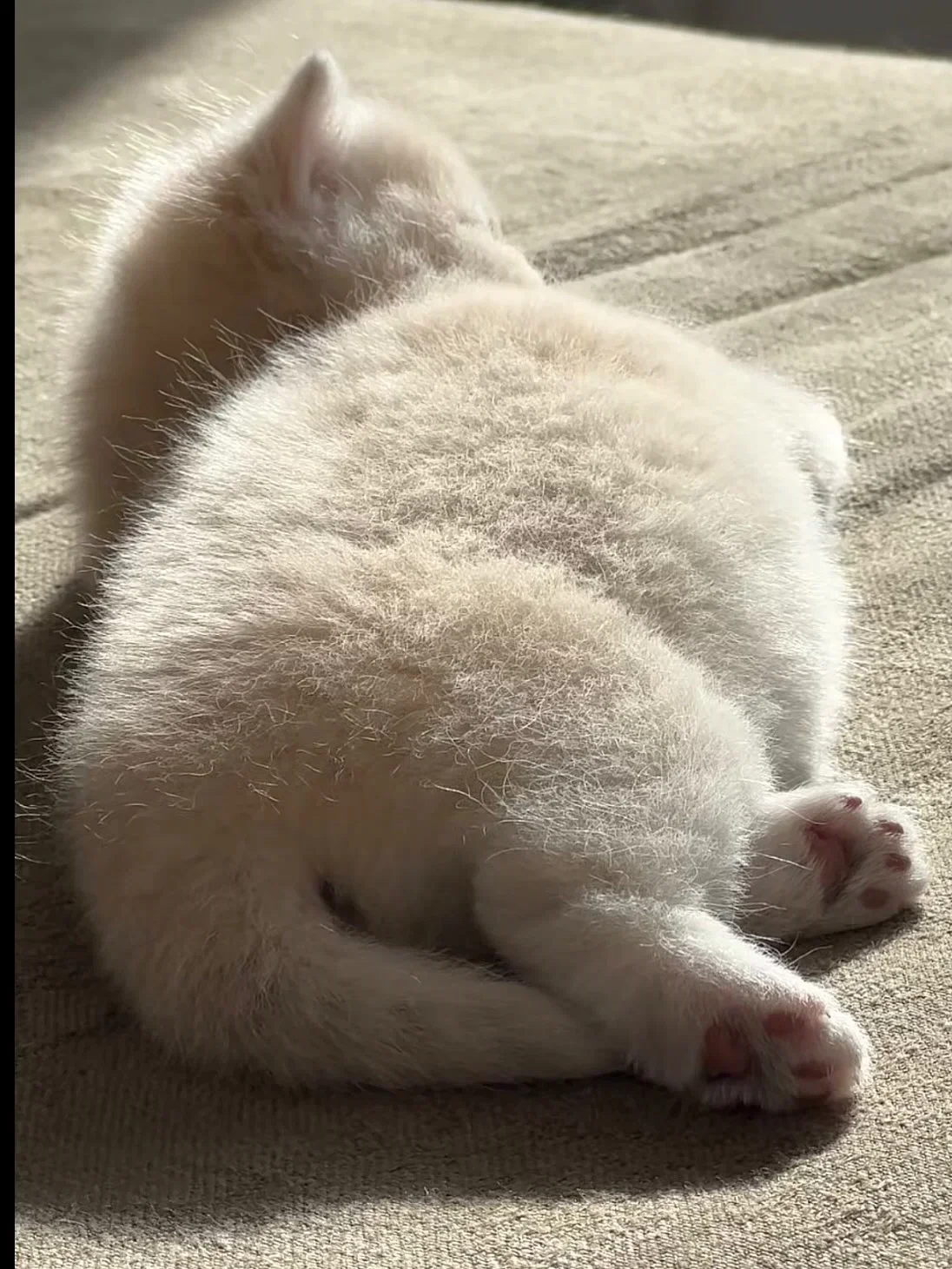 SFyykJ
