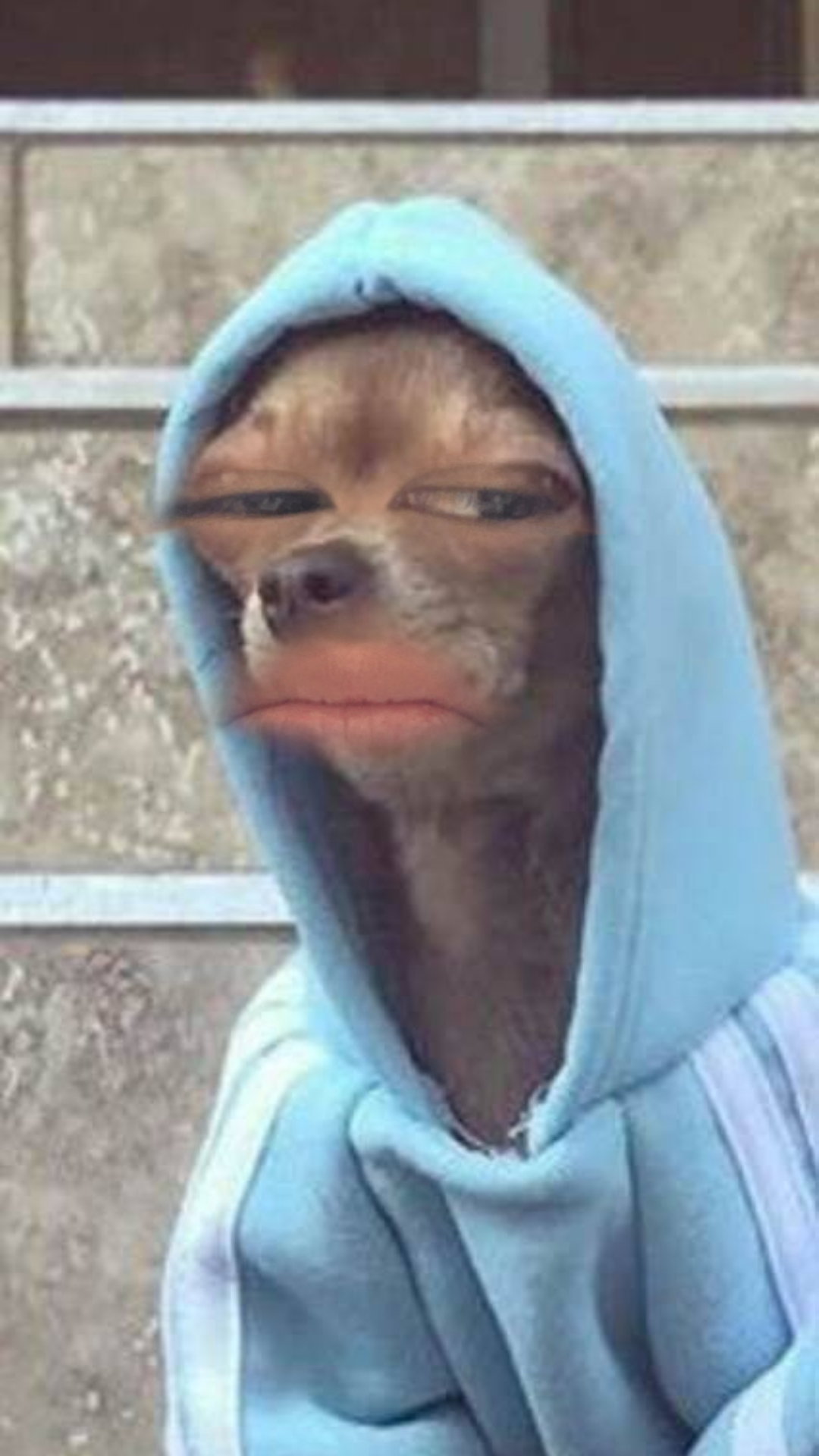 SIzrtM
