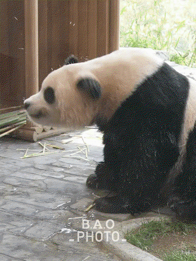 SLfOnd.gif