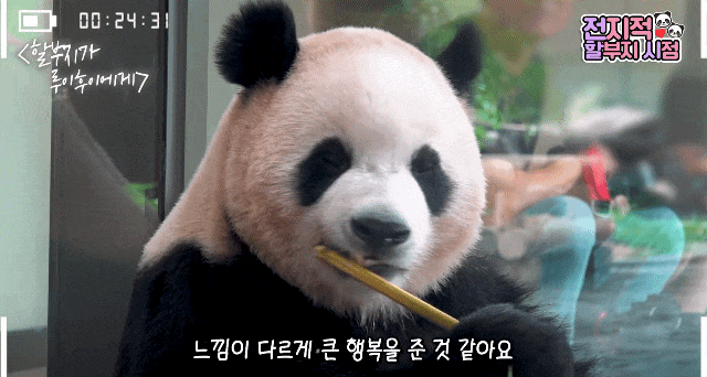 SMfSlI.gif