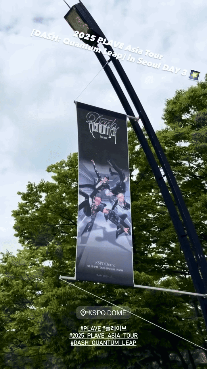 SMgfWE.gif