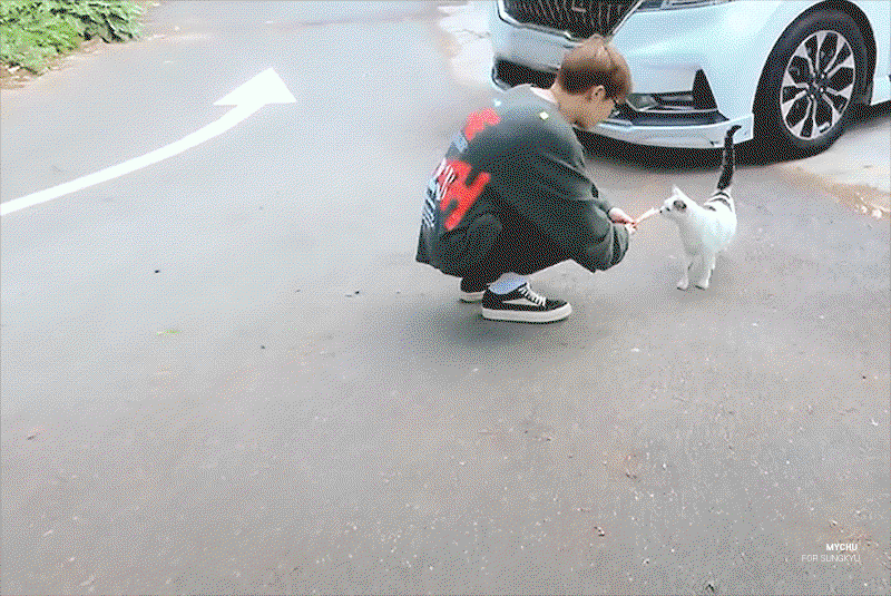 SNMvkd.gif