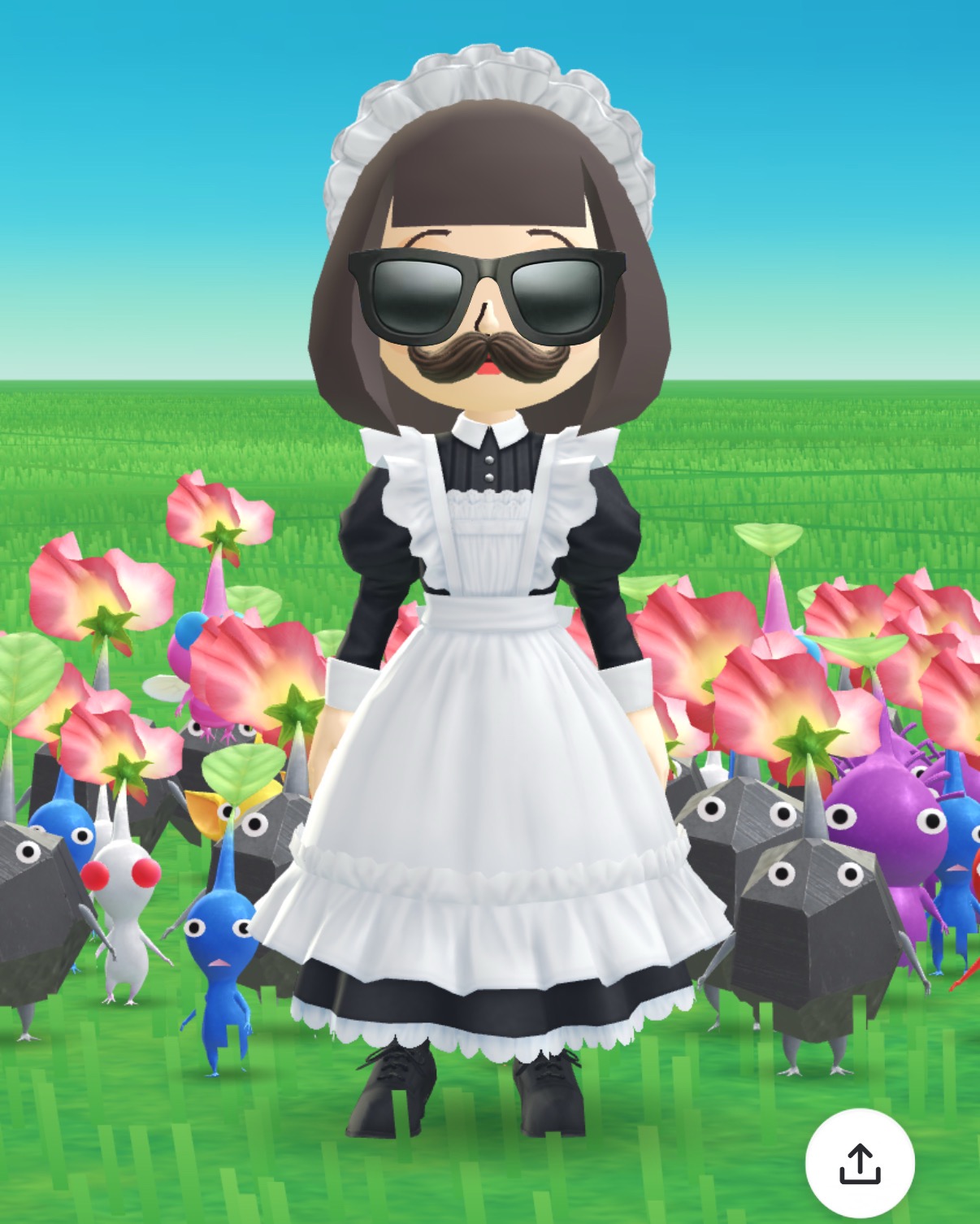 SNOPut