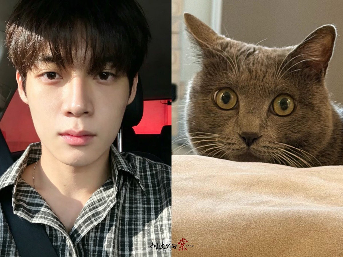SNUasc
