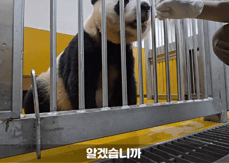 SQyqJO.gif