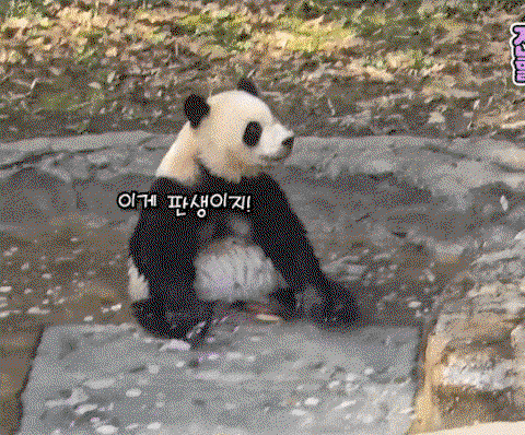 SRWgJI.gif