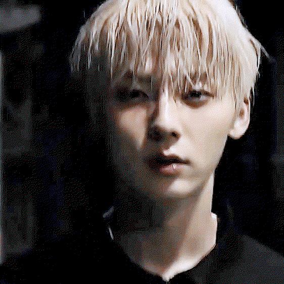 SRgANN.gif