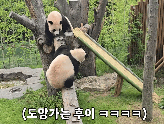 SRnUGC.gif