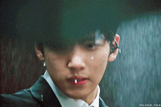 SRqHSP.gif