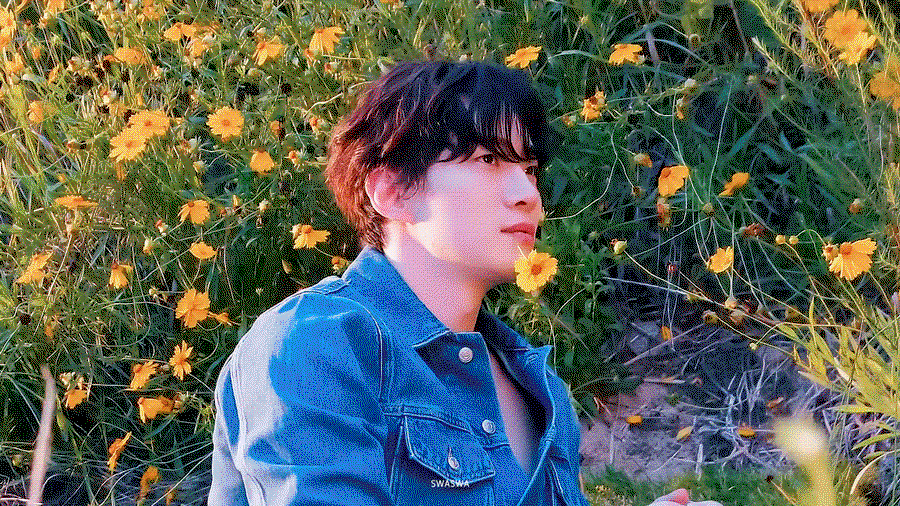 SSQXOo.gif