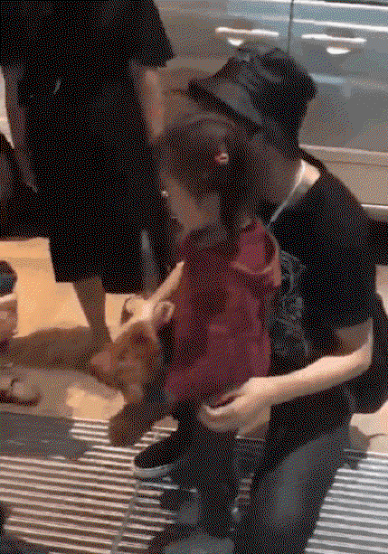 STbBtG.gif