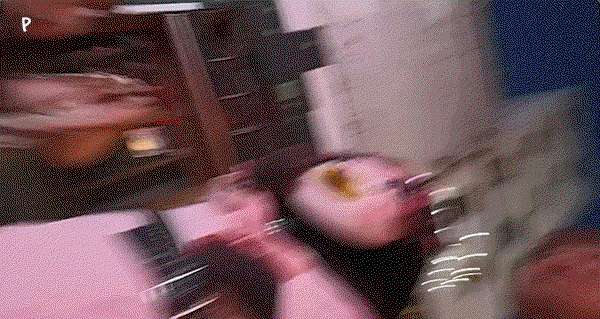 SafcGc.gif