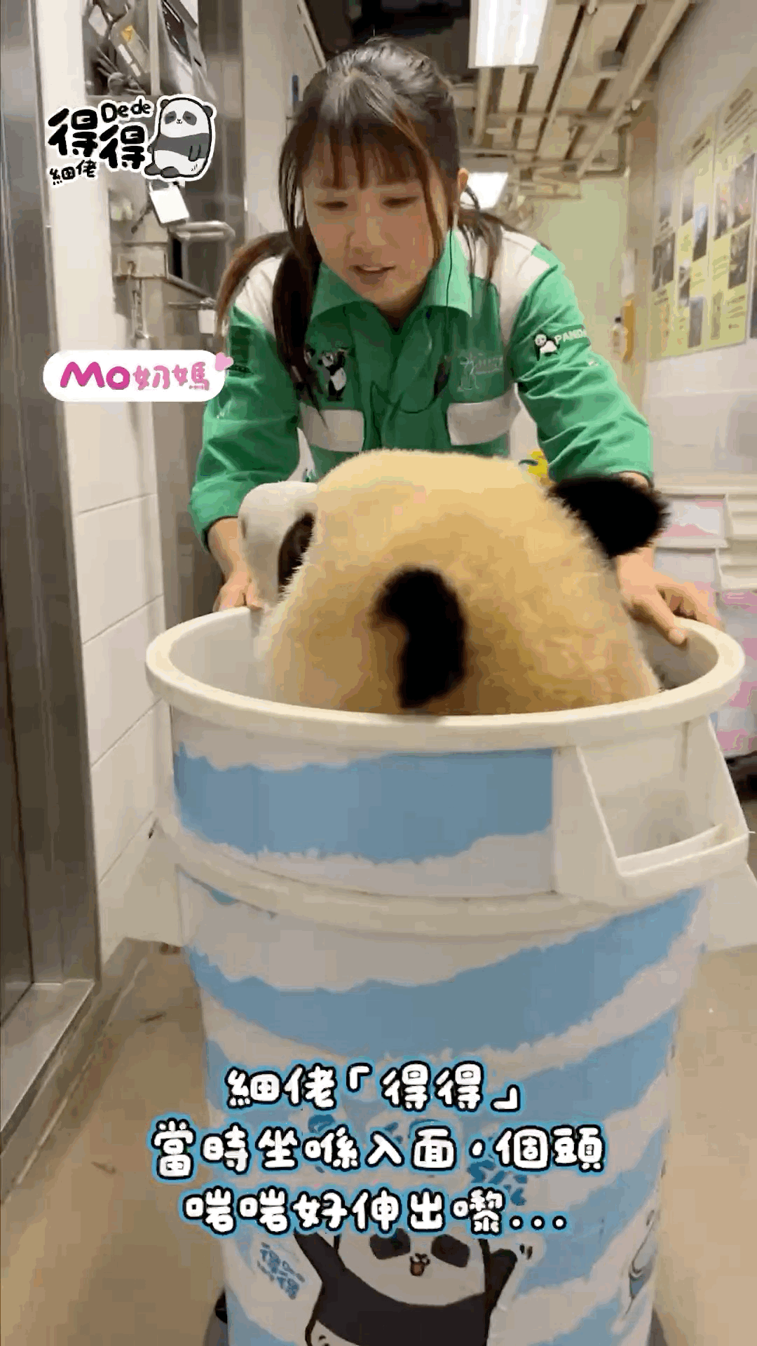 SbdoxG.gif