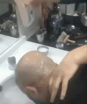 ScpKrm.gif