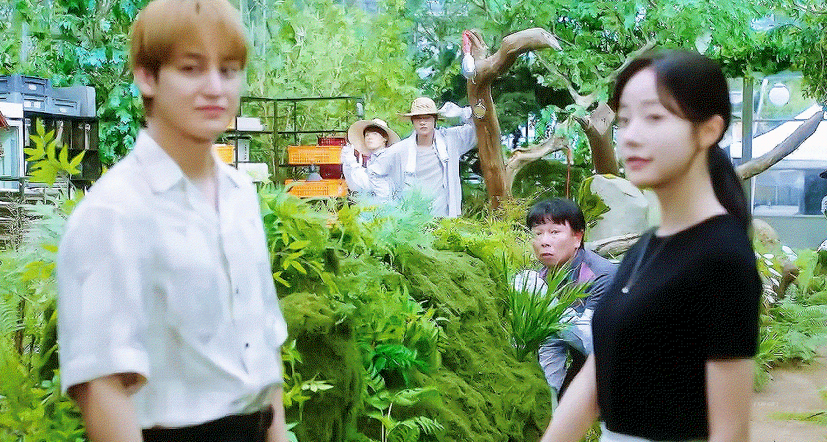 SdAhwl.gif