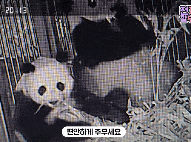 SgFShO.gif